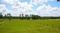 104 Goose Platter Road Batesburg, SC 29006 - Photo 4 of 34