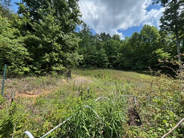 590 Black Mountain Road Dunlap, TN 37327 - Photo 6 of 20 IMG_6622
