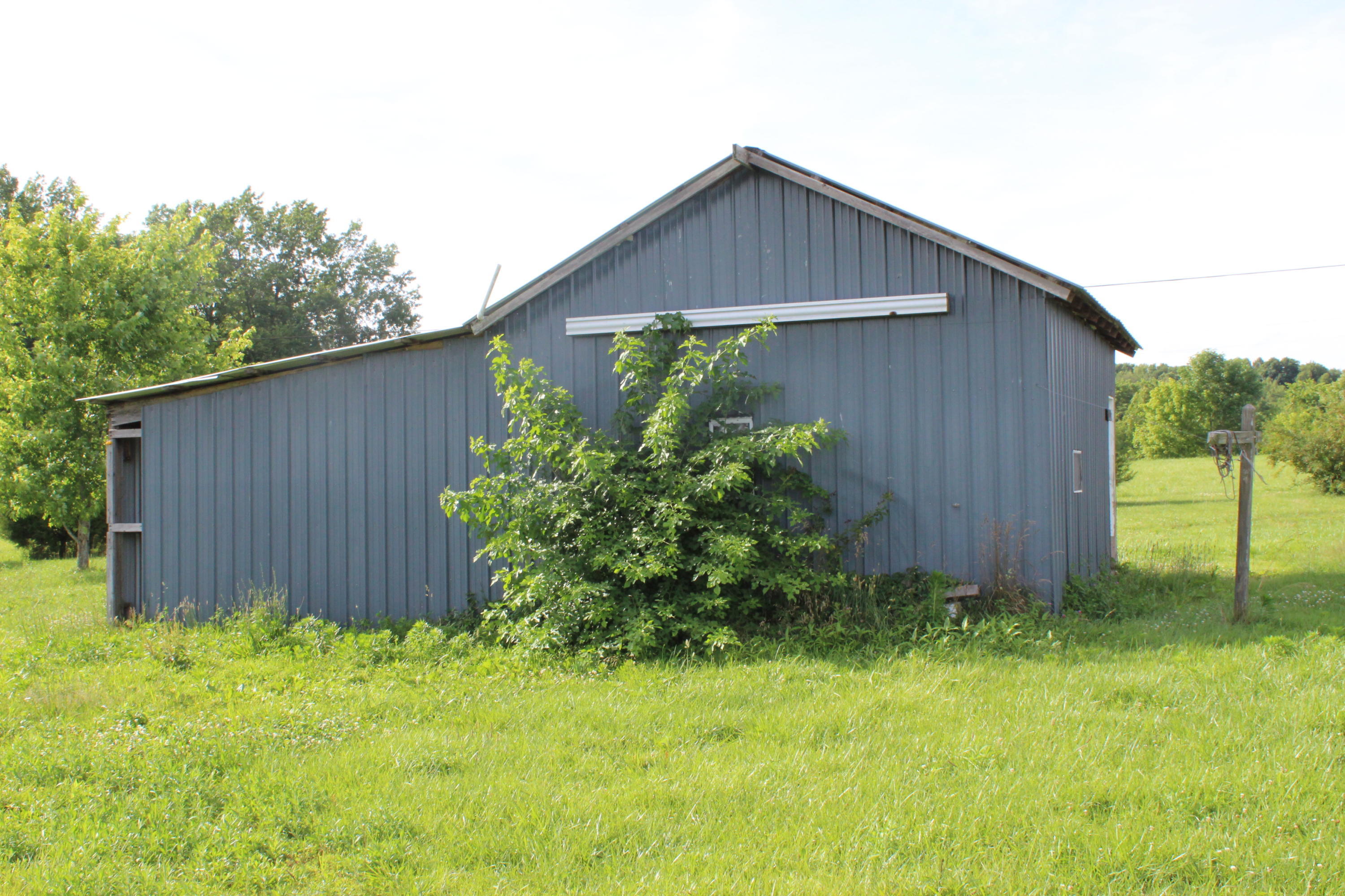 3375 Beech Grove Road Science Hill, KY 42553 - Photo 6 of 6 2019-06-17 12.01.16