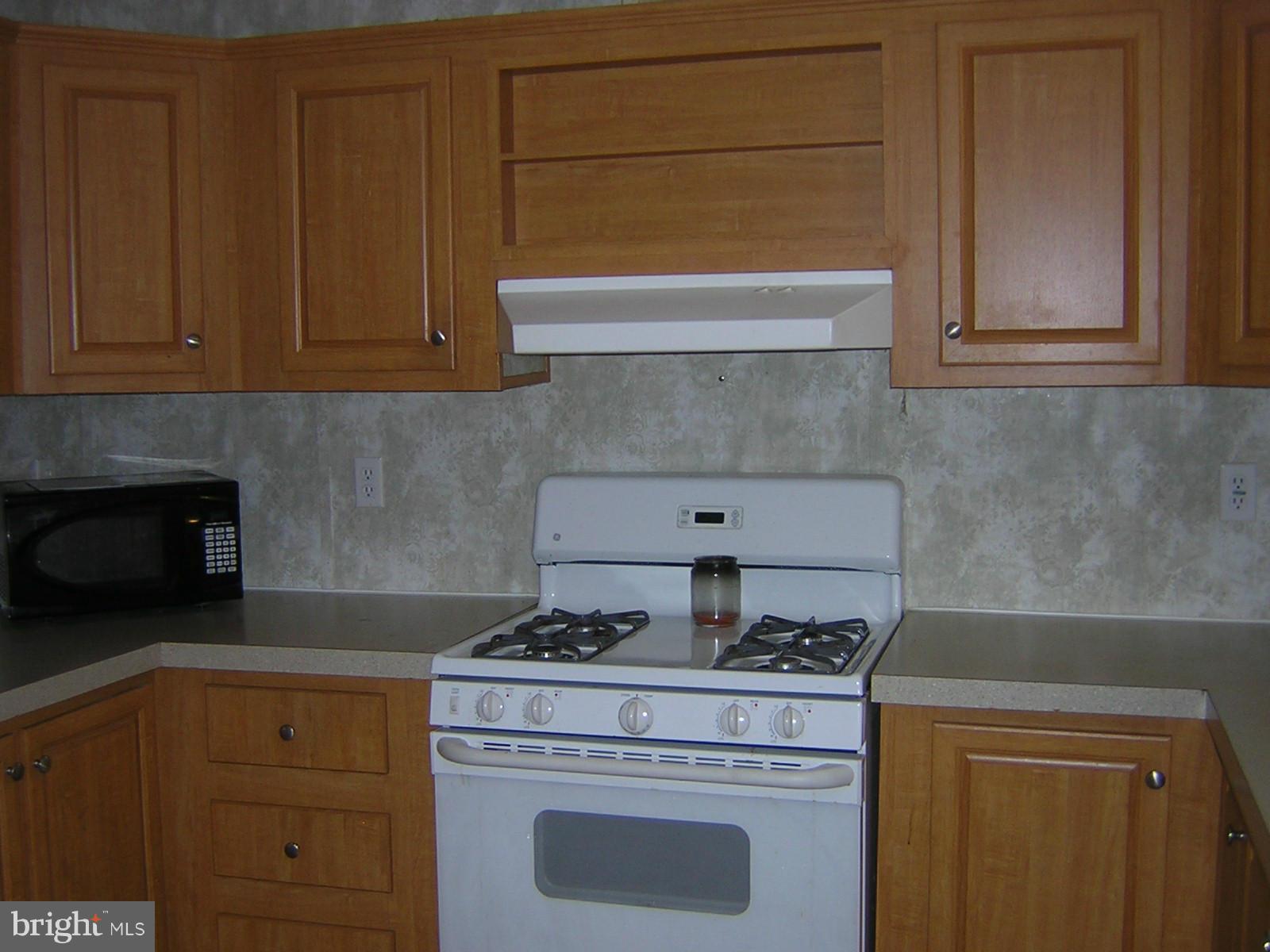 4041 Conowingo Road, Unit 55 Darlington, MD 21034 - Photo 11 of 29 Gas Stove