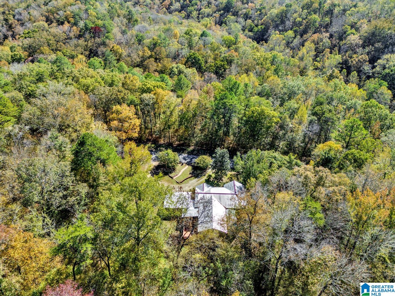 421 Tubbs Hill Road Oakman, AL 35579 - Photo 48 of 49