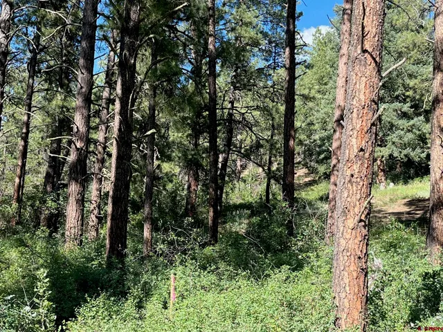 a view of outdoor space and trees
