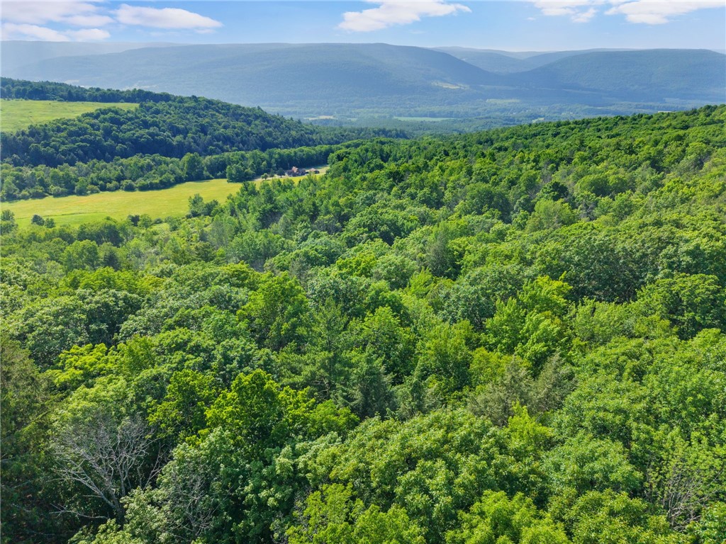 Guinea Road Middleburgh, NY 12122 - Photo 3 of 10