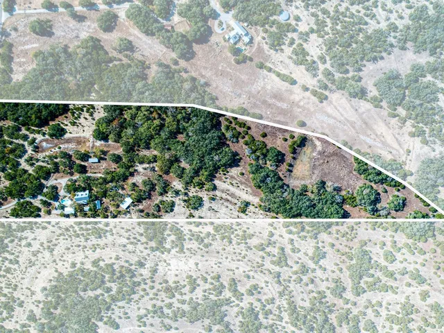 a view of a yard with plants