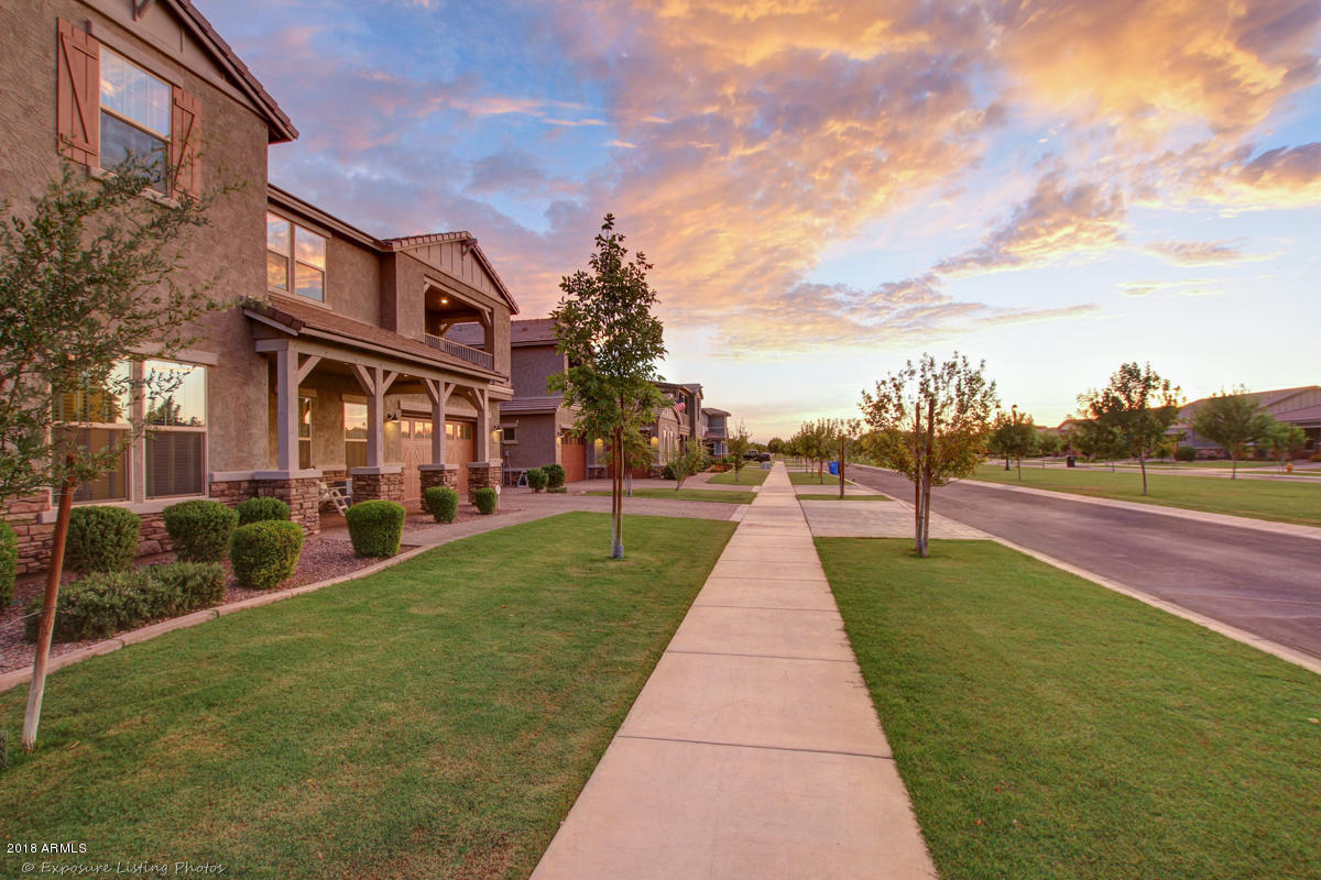 4261 East Morrison Ranch Parkway Gilbert, AZ 85296 - Photo 40 of 51 Tree-lined streets