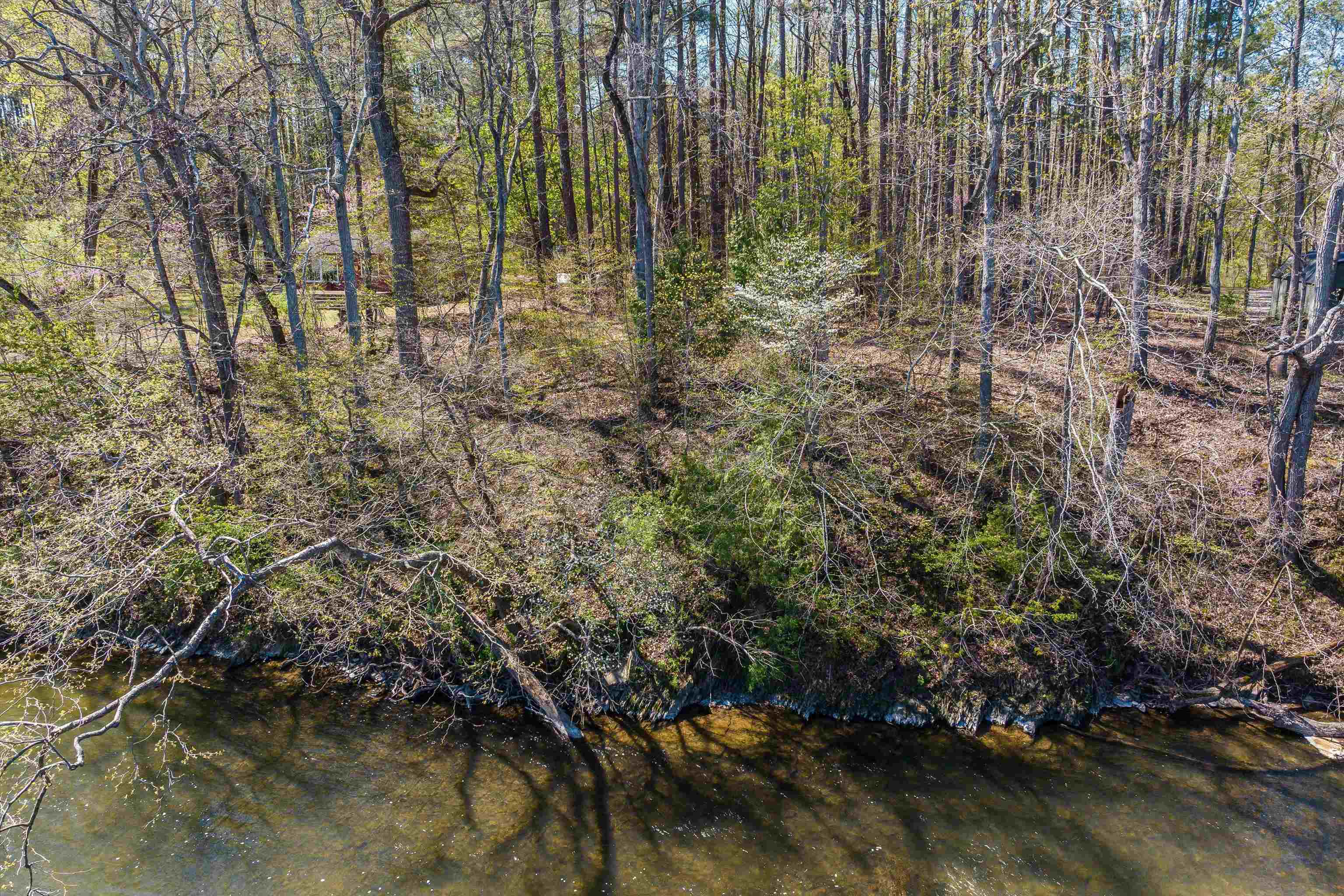 Tbd Shipyard Road Shenandoah, VA 22849 - Photo 14 of 20 Gallery Image 14