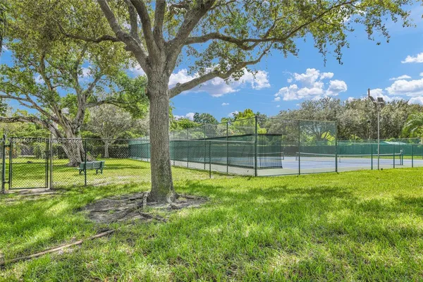 a view of a garden with a tree