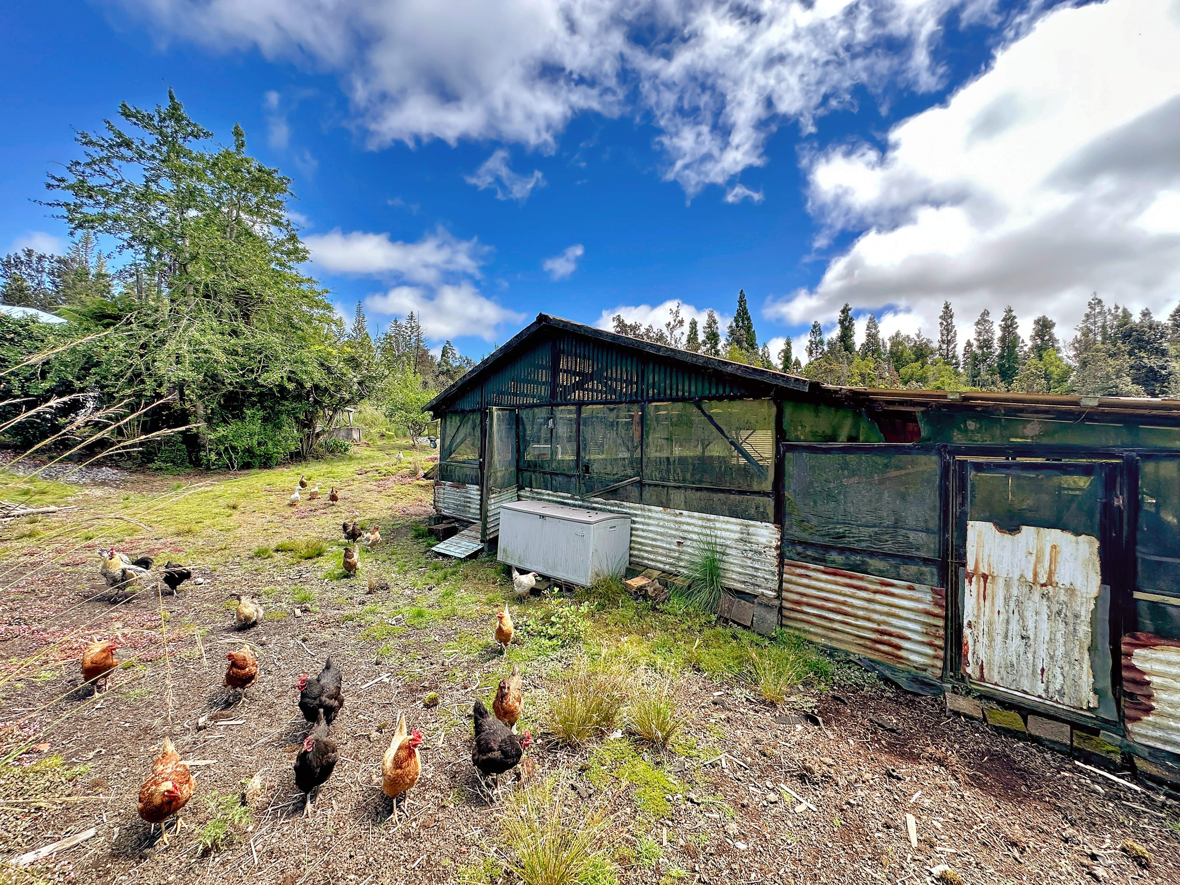 19-4294 Ainahau Road Volcano, HI 96785 - Photo 12 of 30