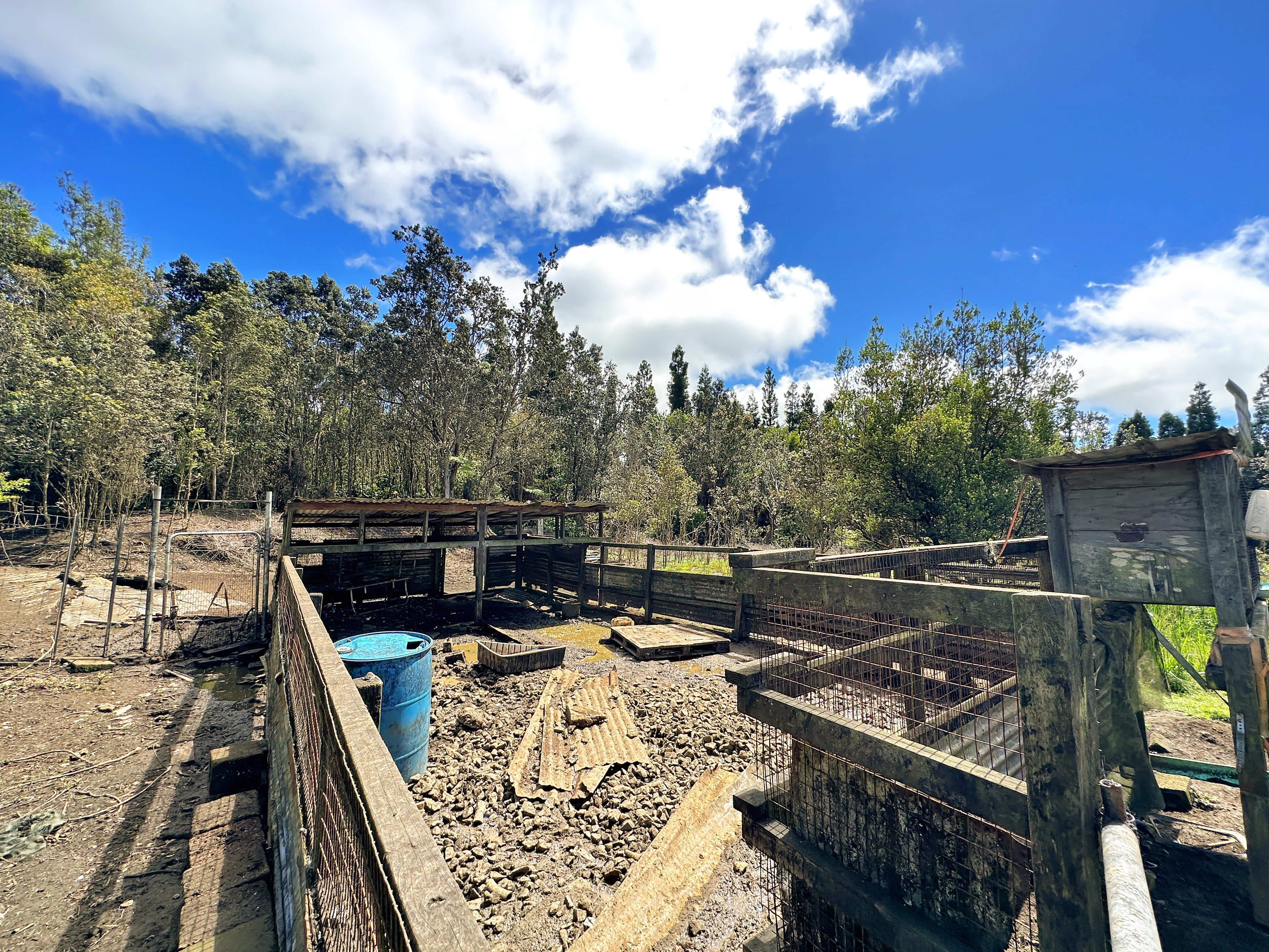 19-4294 Ainahau Road Volcano, HI 96785 - Photo 26 of 30