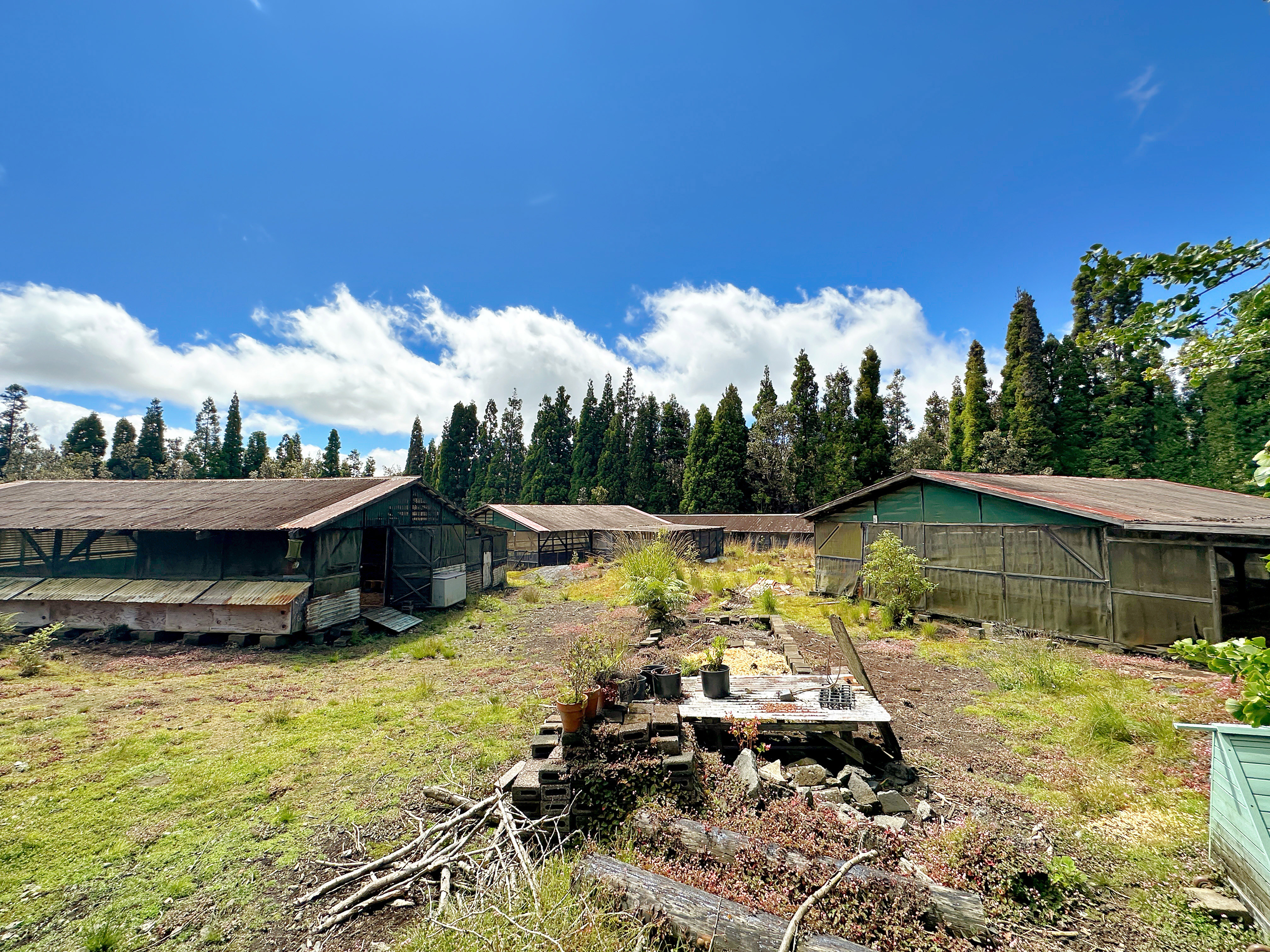 19-4294 Ainahau Road Volcano, HI 96785 - Photo 29 of 30