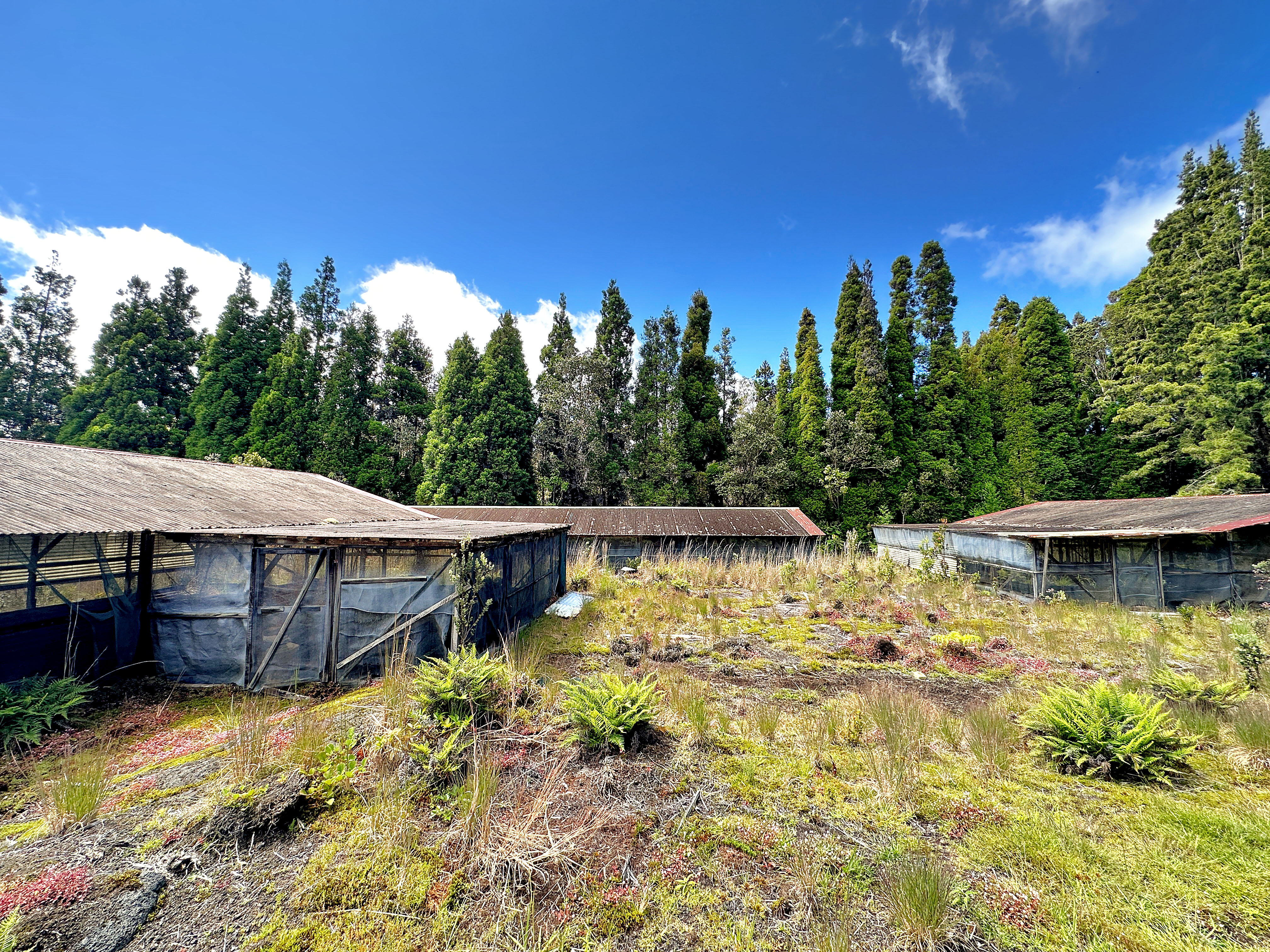 19-4294 Ainahau Road Volcano, HI 96785 - Photo 30 of 30