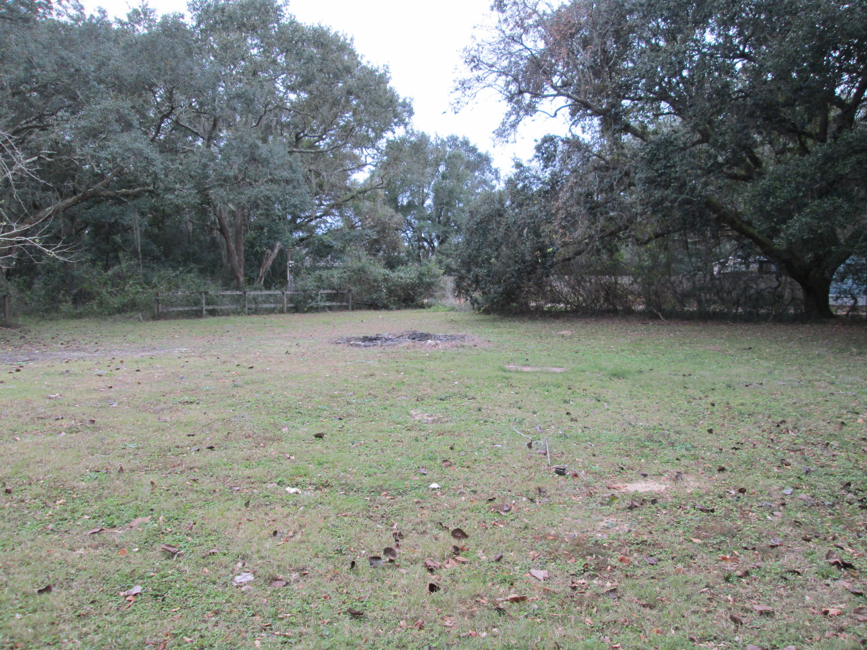 2765 Ola Broxson Road Navarre, FL 32566 - Photo 3 of 20 a view of a dry yard with wooden fence