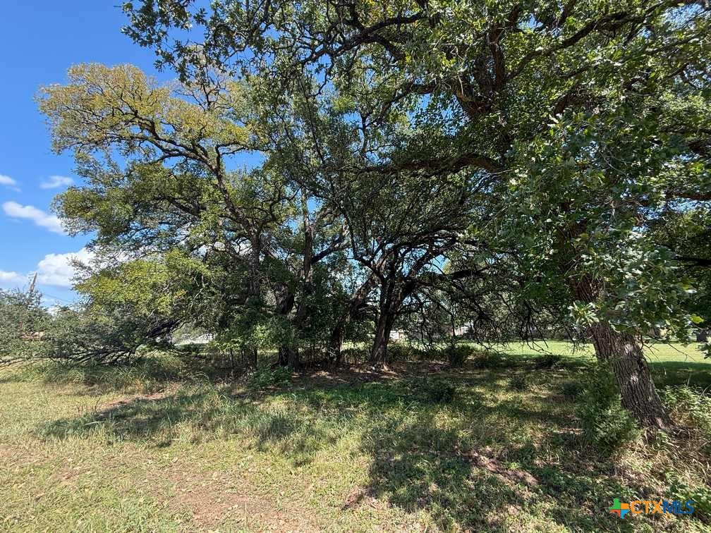 Tbd Golf Course Road Gatesville, TX 76528 - Photo 12 of 36