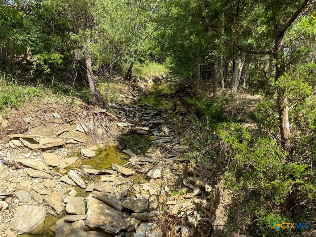 Tbd Golf Course Road Gatesville, TX 76528 - Photo 14 of 36