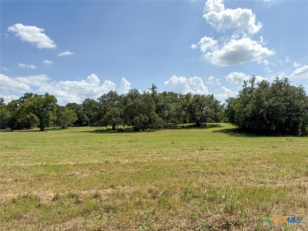 Tbd Golf Course Road Gatesville, TX 76528 - Photo 21 of 36