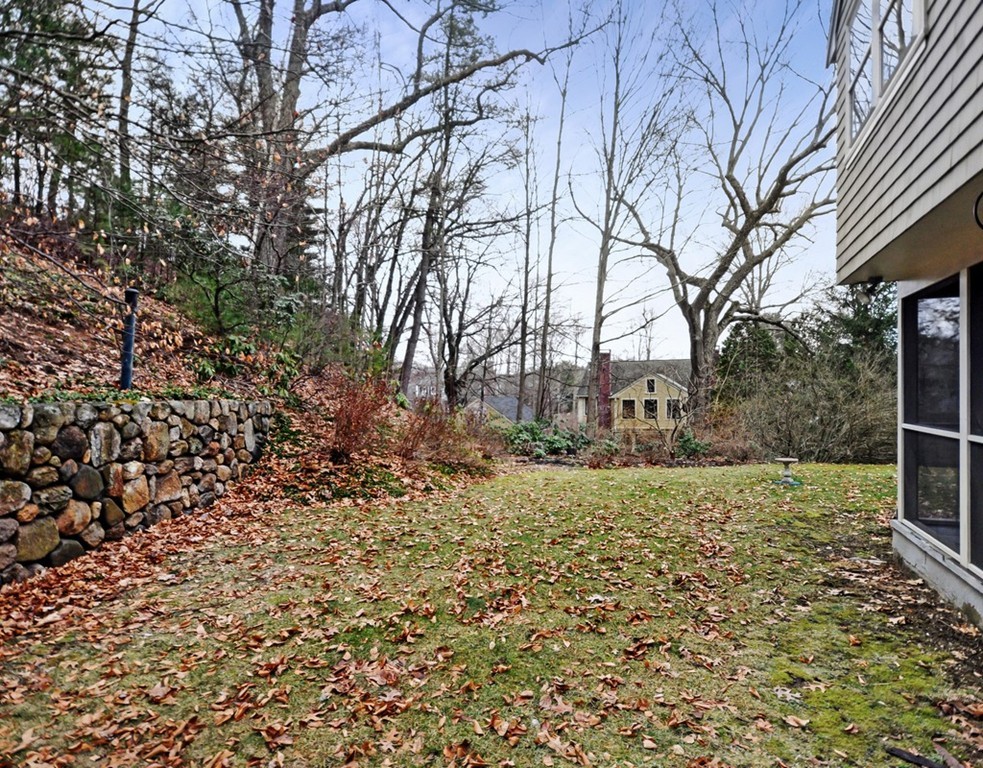 24 Ridge Road Concord, MA 01742 - Photo 18 of 25 a view of yard with tree