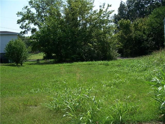 1607 Batts Boulevard Springfield, TN 37172 - Photo 1 of 3 Gallery Image 1