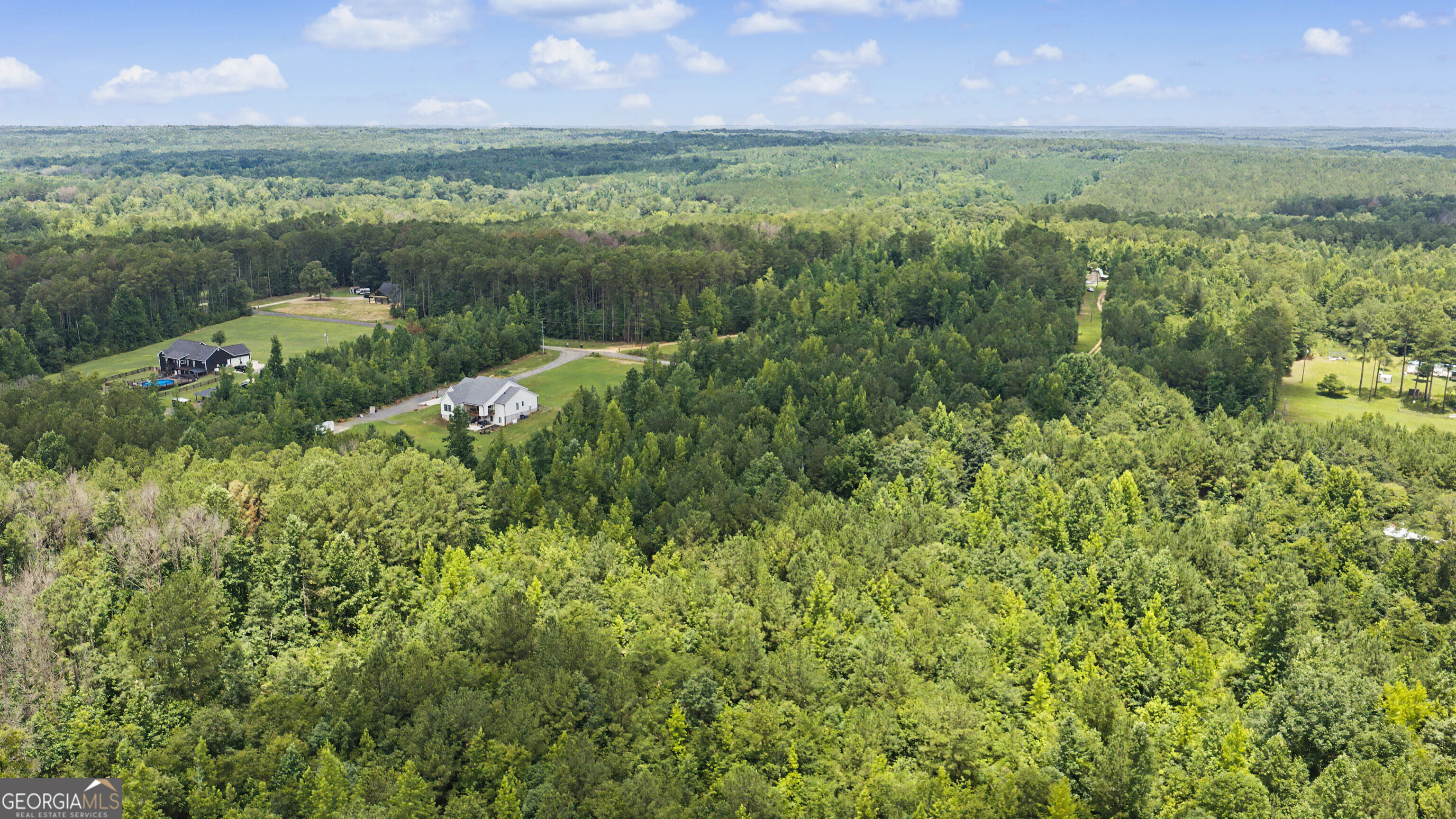 661 Hugh O Neal Road Greenville, GA 30222 - Photo 9 of 11