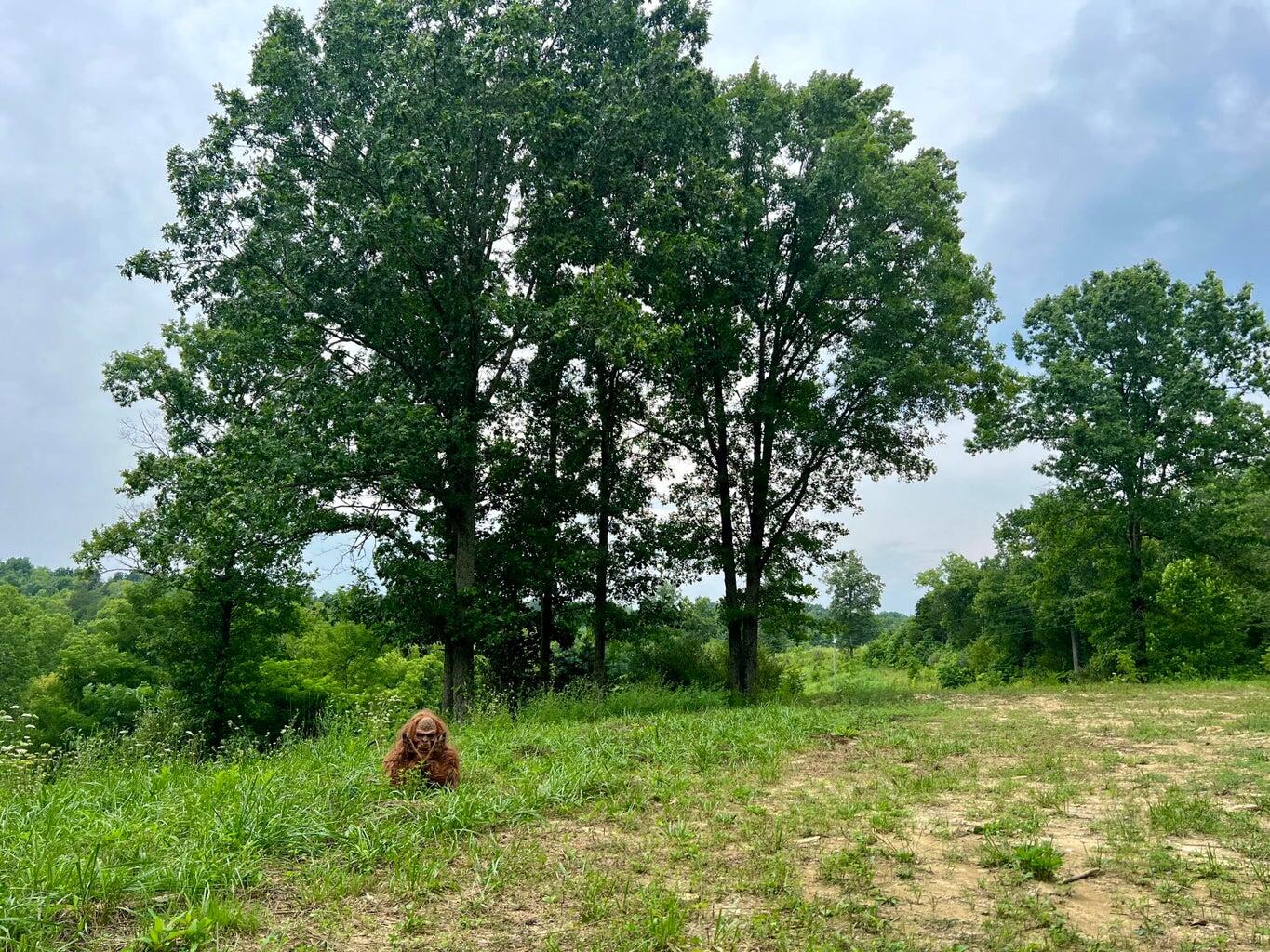 1030 Old Owenton-Georgetown Road Owenton, KY 40359 - Photo 22 of 37 20230811145247213732000000-o