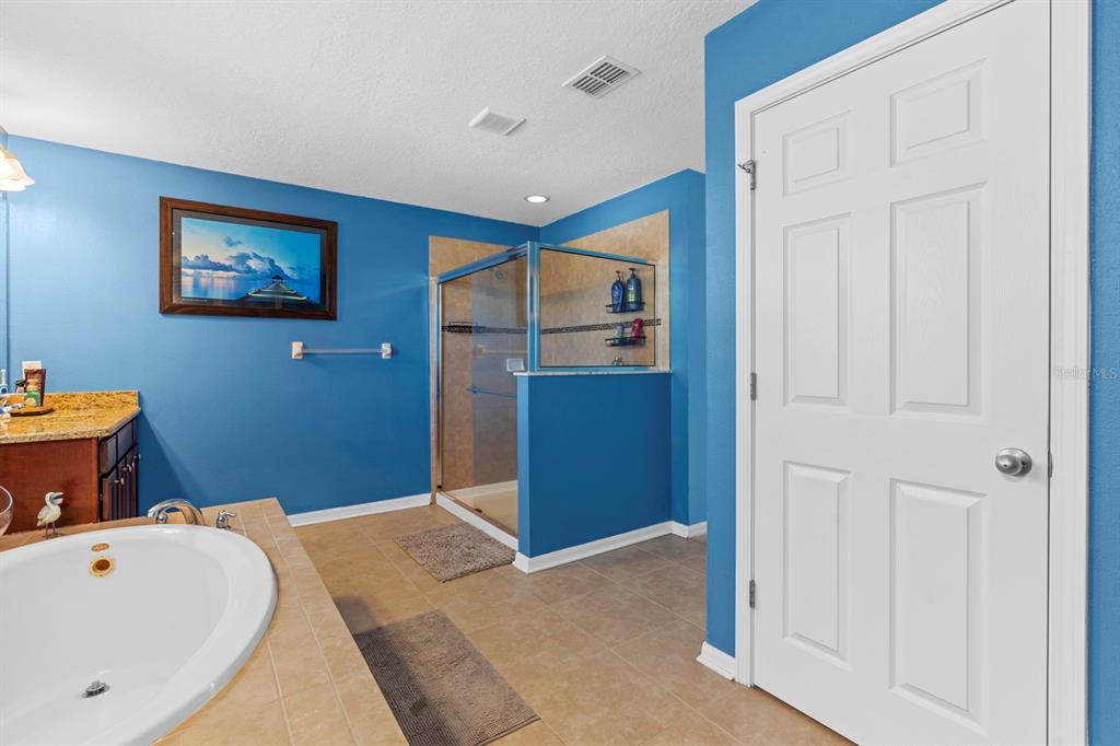 159 Star Shell Drive Apollo Beach, FL 33572 - Photo 52 of 57 a bathroom with a tub and a sink