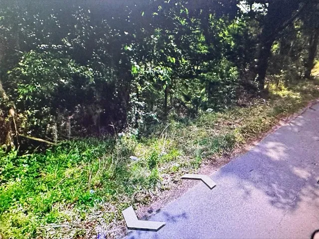 $35,000 | 409 West Towles Avenue, Palatka, FL 32177