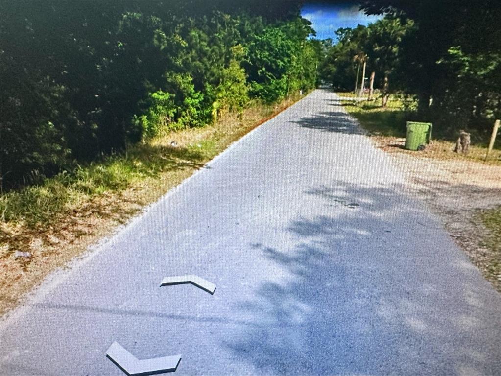 409 West Towles Avenue Palatka, FL 32177 - Photo 3 of 6