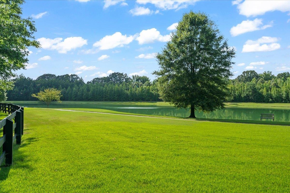 12335 Cascabel Lane Collierville, TN 38017 - Photo 34 of 38 a view of a swimming pool and a yard