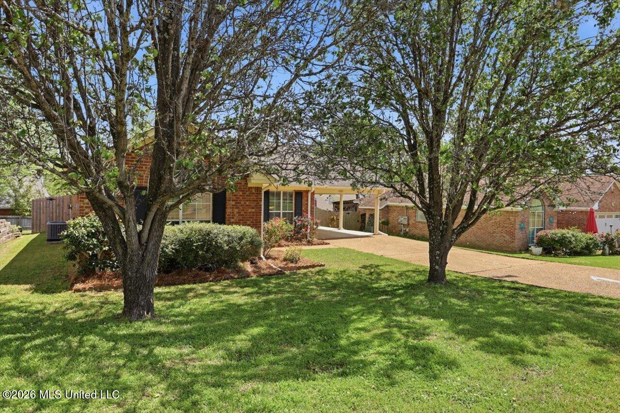 1021 Craig Circle Ridgeland, MS 39157 - Photo 2 of 24 02-1021 Craig Cir _Too Many Trees