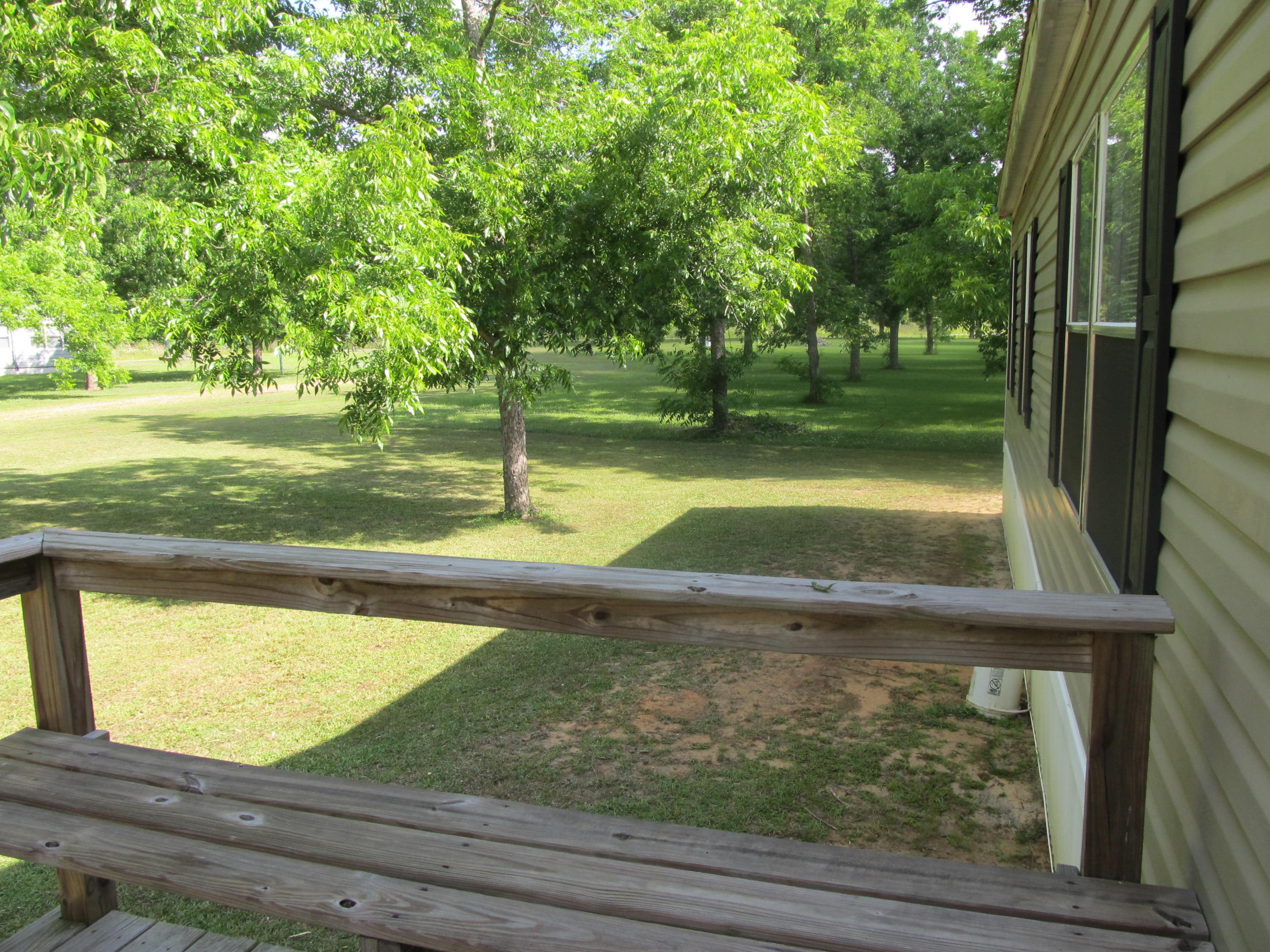 32114 Office Road Dozier, AL 36028 - Photo 19 of 24 a view of swimming pool from a window