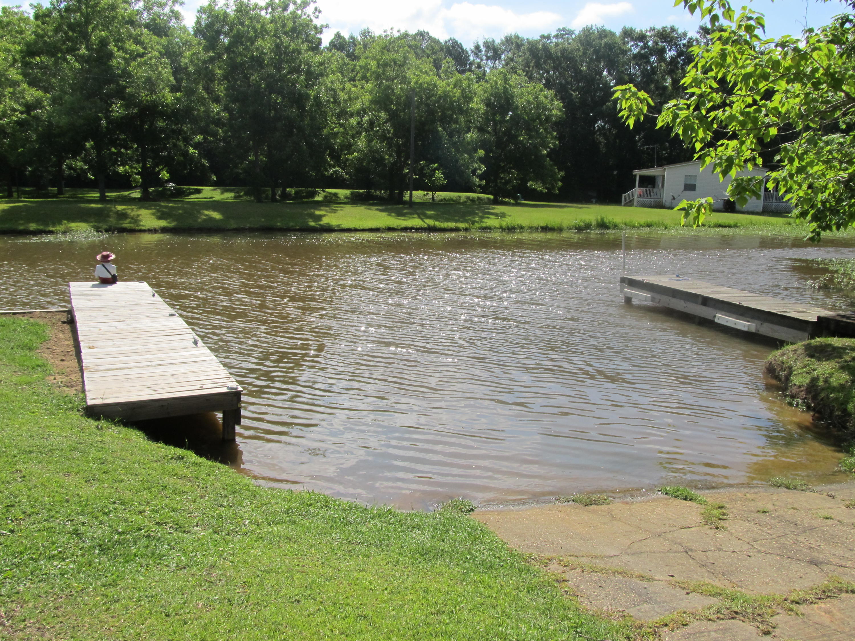 32114 Office Road Dozier, AL 36028 - Photo 3 of 24 a view of a lake view