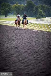 a backyard of a house with barbeque oven and trees