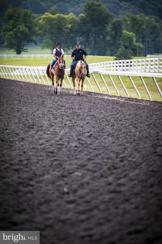 a backyard of a house with barbeque oven and trees