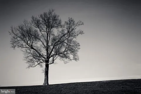 $18,500,000 | 3366 Belmont, Glyndon, MD 21136