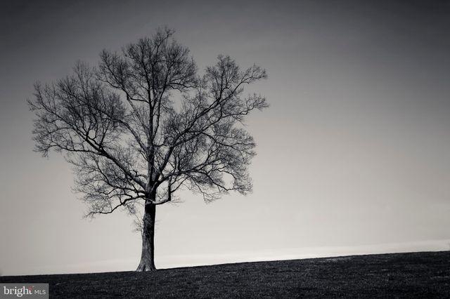 $18,500,000 | 3366 Belmont, Glyndon, MD 21136