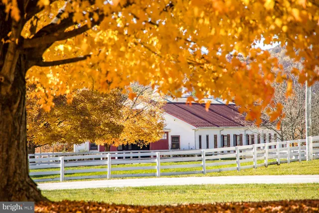 $18,500,000 | 3366 Belmont, Glyndon, MD 21136