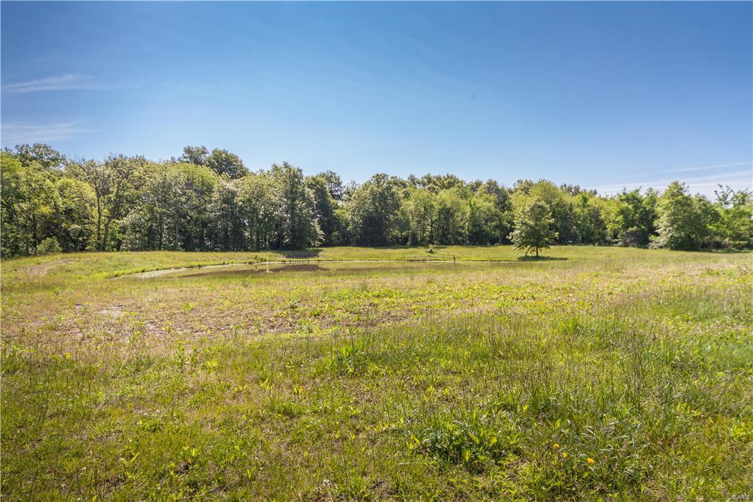 1658 Elevator Road Sorento, IL 62086 - Photo 31 of 37