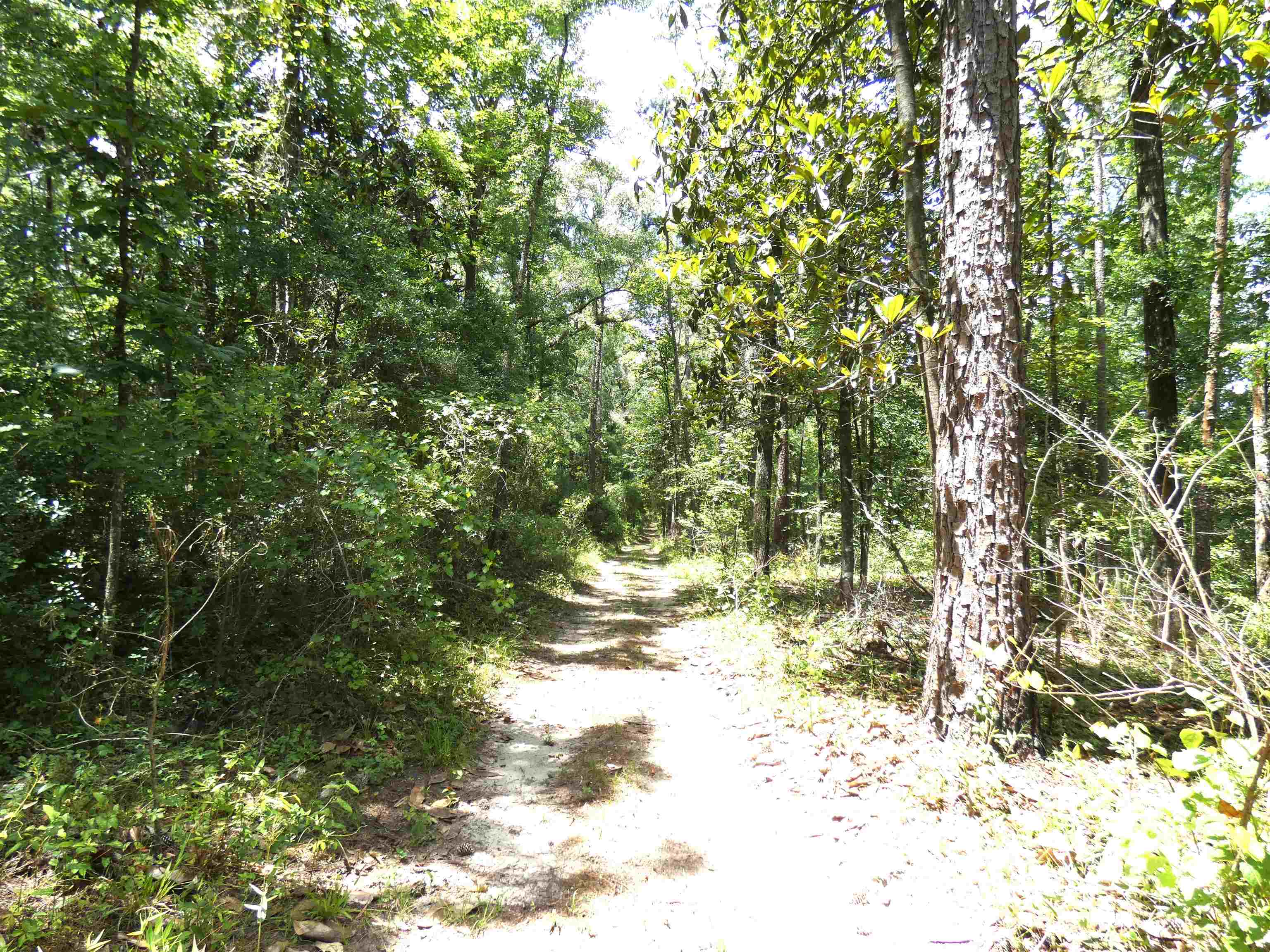 Tbd Gamble Road Monticello, FL 32344 - Photo 4 of 9