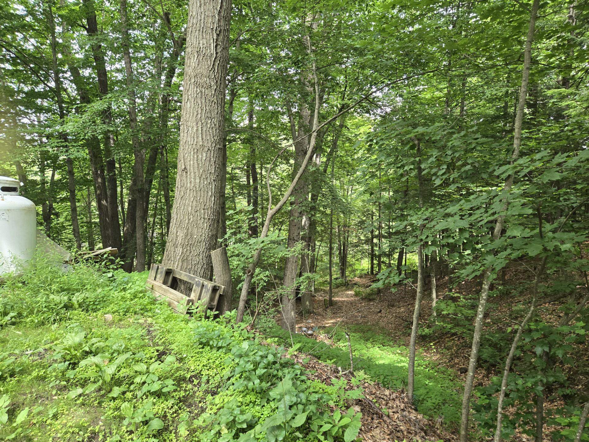 208 Nh Rte 3a Hill, NH 03243 - Photo 32 of 38