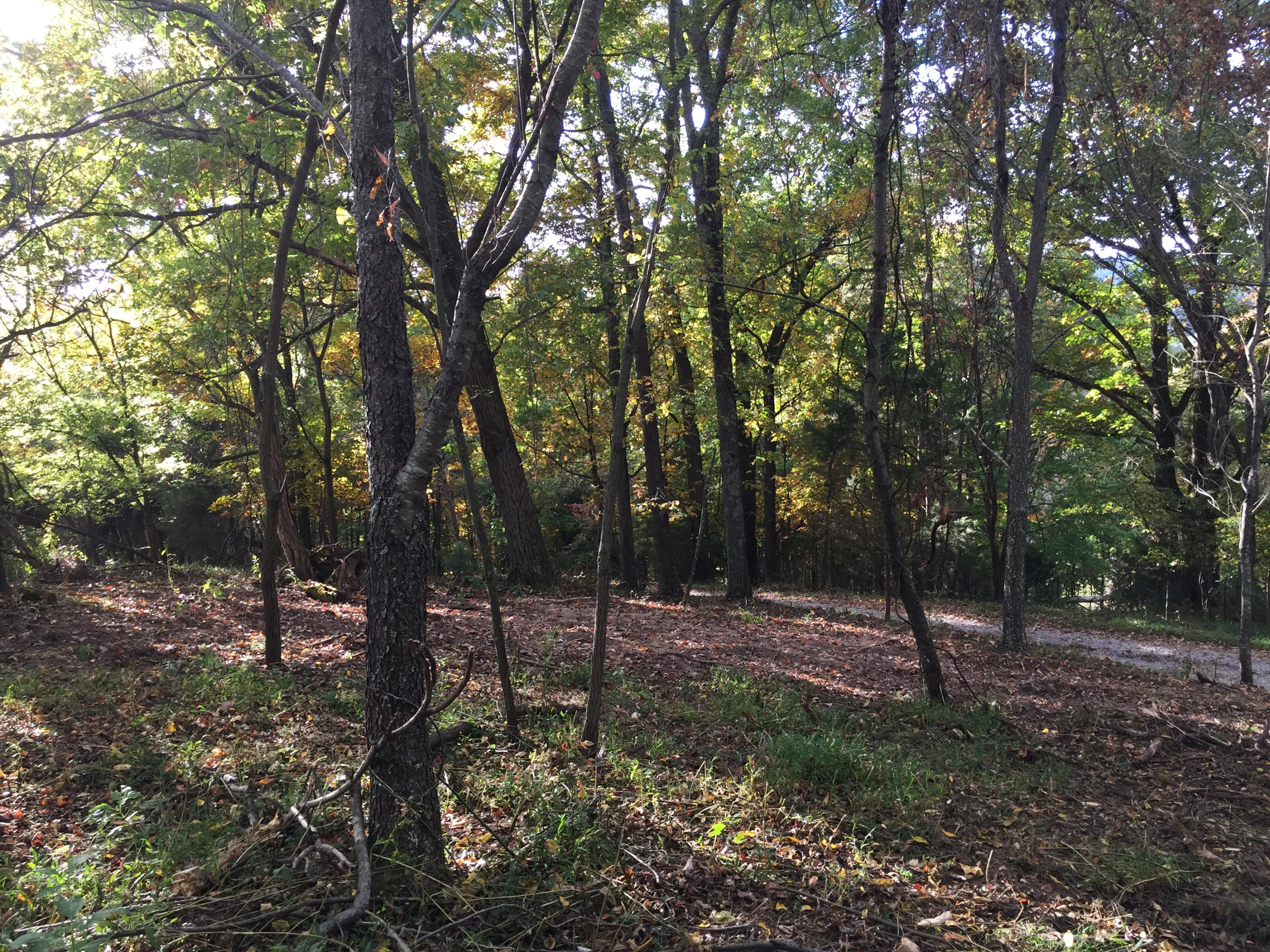 Lot 3 Charles Johnson Road, Unit 3 Chuckey, TN 37641 - Photo 1 of 13 IMG_8448