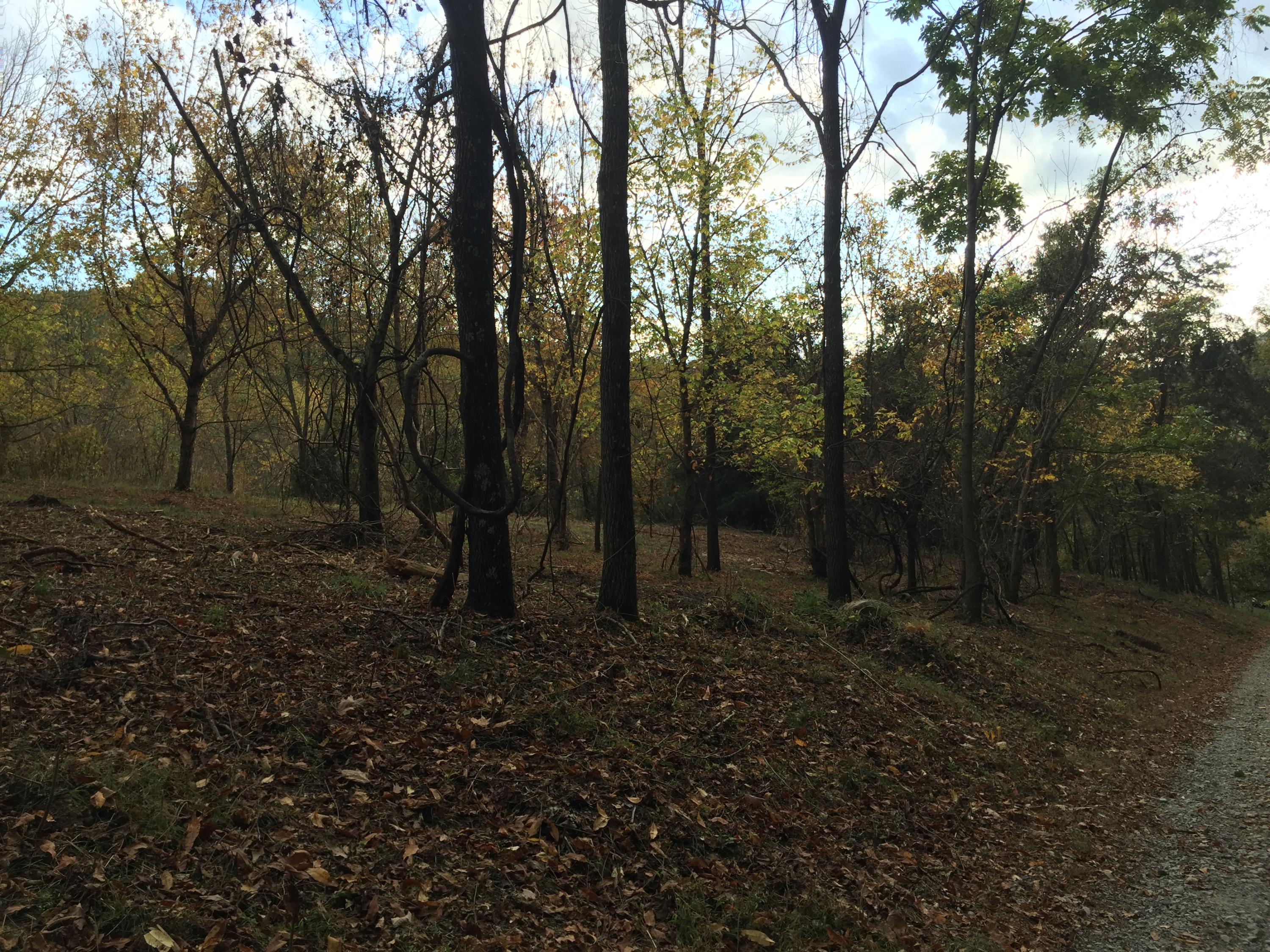Lot 3 Charles Johnson Road, Unit 3 Chuckey, TN 37641 - Photo 12 of 13 IMG_8474
