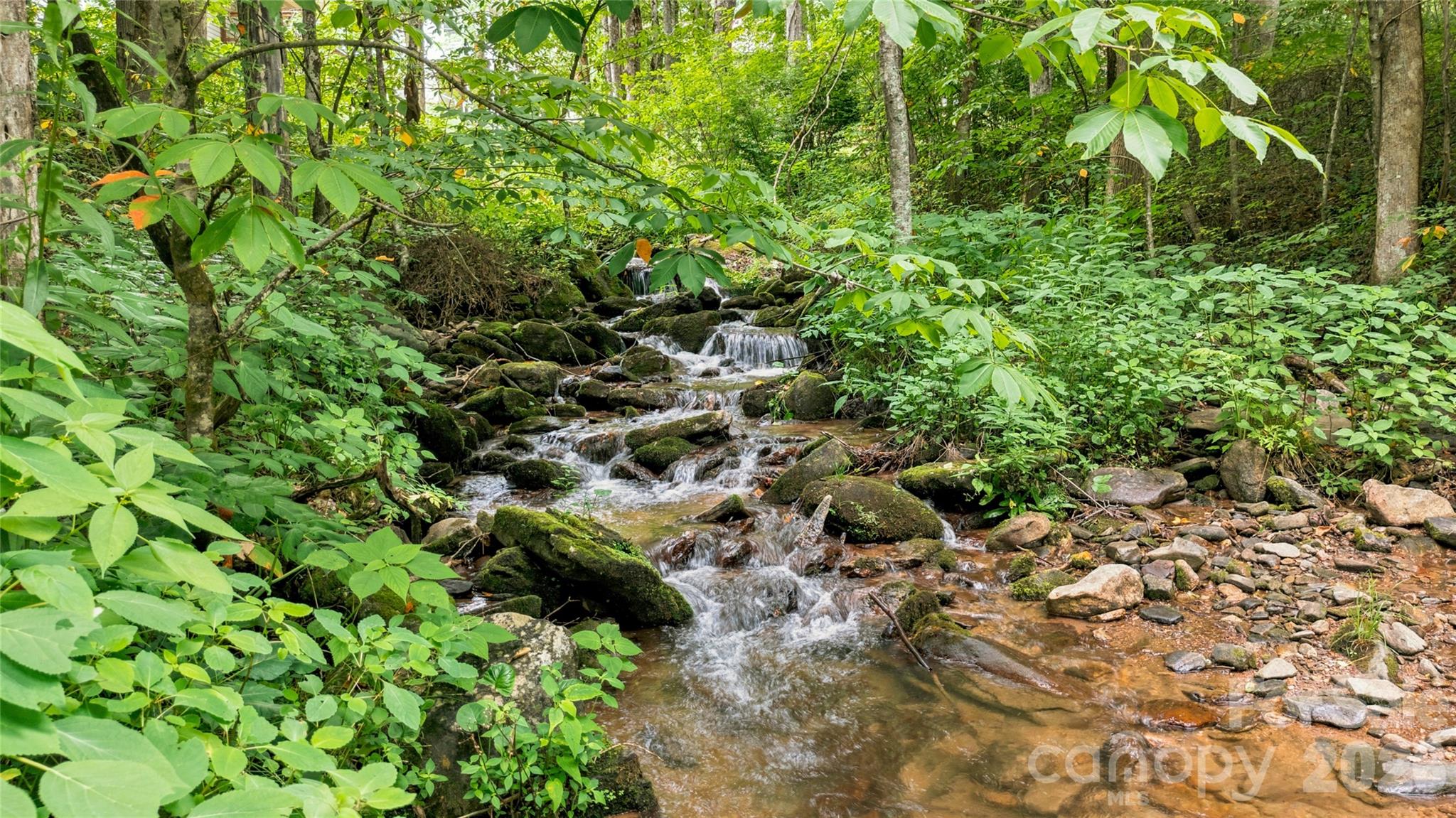 0 Fisher Creek Road Sylva, NC 28779 - Photo 8 of 18