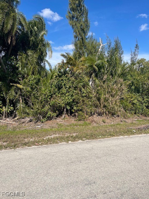a view of a yard with a tree