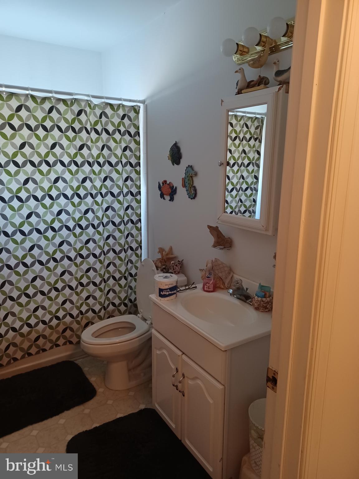 2409 Hammonds Ferry Road Halethorpe, MD 21227 - Photo 10 of 10 a bathroom with a sink toilet and shower