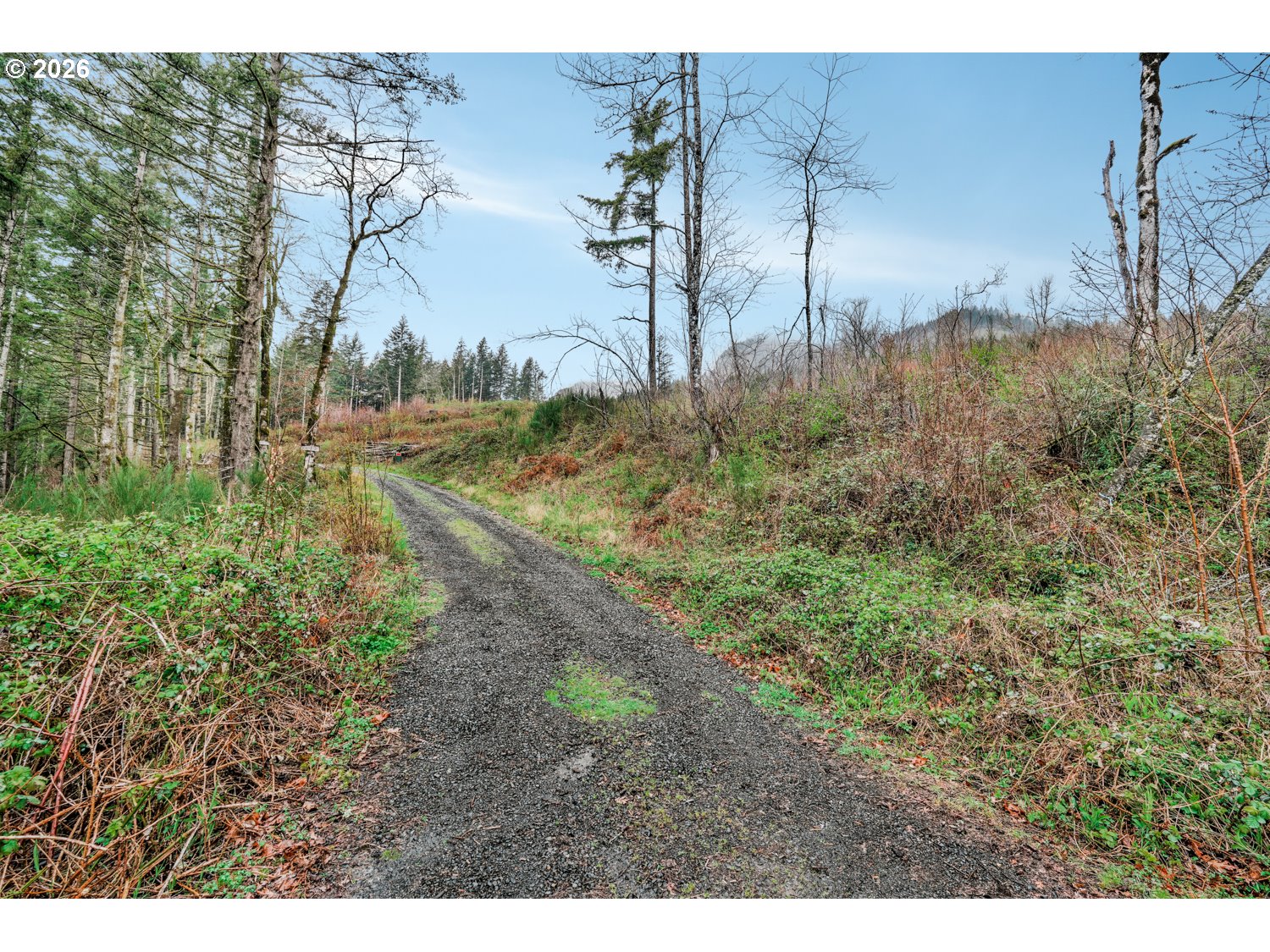 0 Warren Road North Bonneville, WA 98639 - Photo 22 of 22