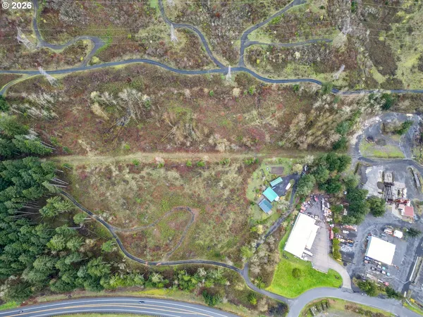a view of a yard