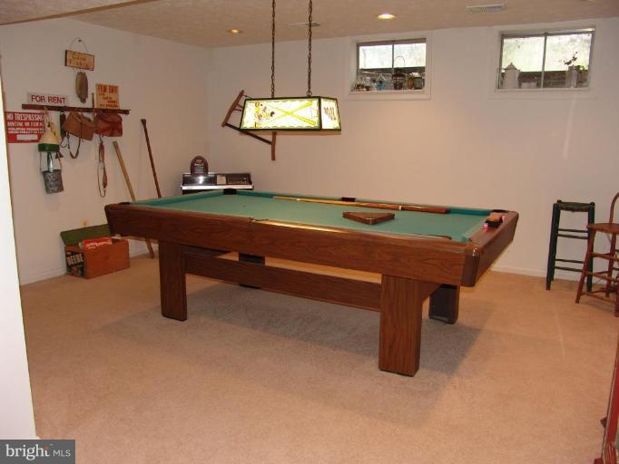 9868 Natick Road Burke, VA 22015 - Photo 12 of 15 Recreation Room #2