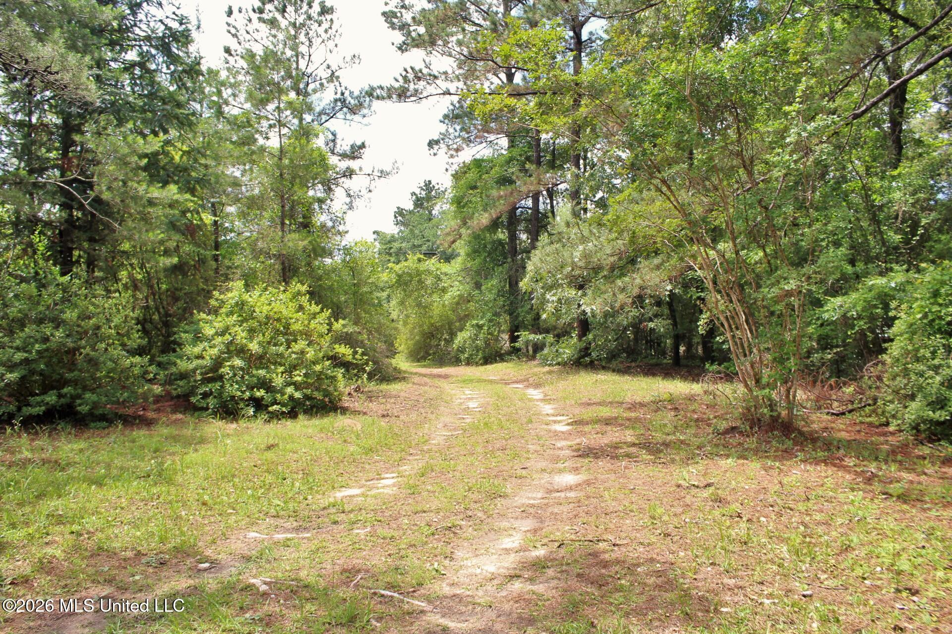 356 Cameron Road Lucedale, MS 39452 - Photo 20 of 22 20