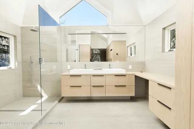 a bathroom with a sink a mirror and a shower