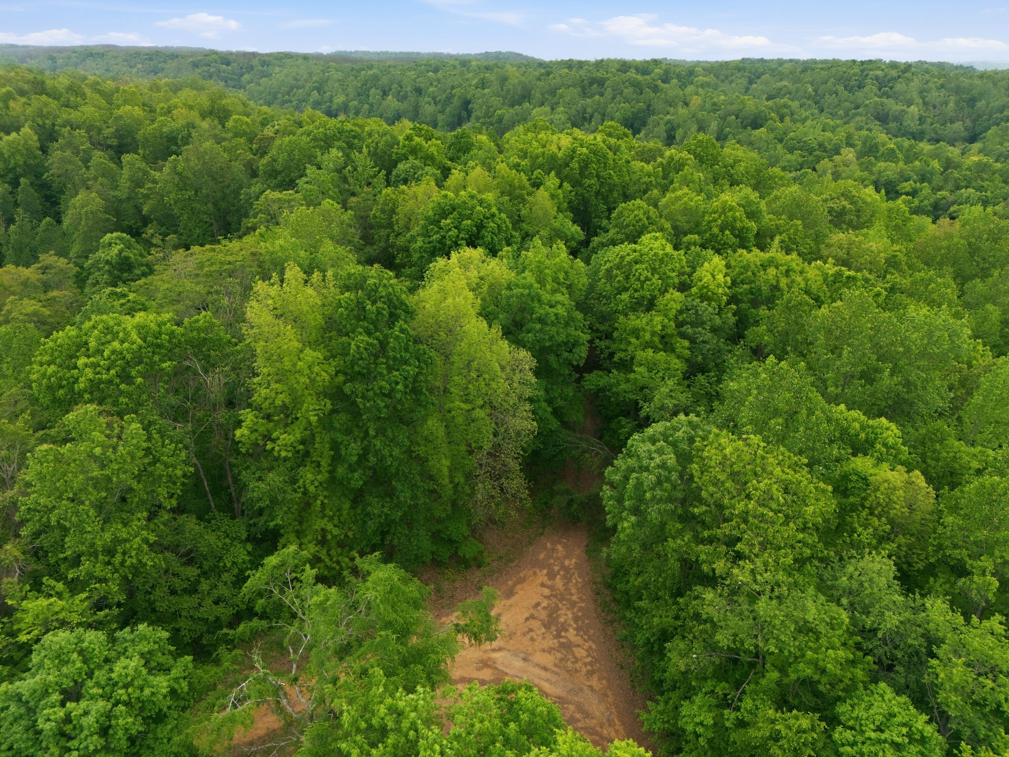 309 River Bluff Road Linden, TN 37096 - Photo 39 of 55