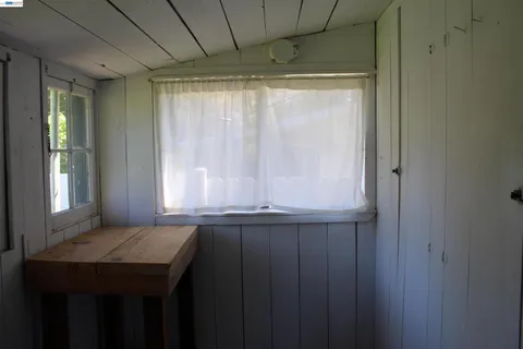 a view of a yard